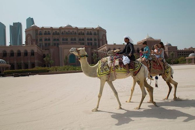Abu Dhabi City Tour From Dubai Including Lunch in Emirates Palace - The Sum Up