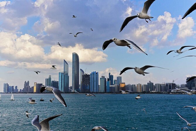 Abu Dhabi City Tour With Ferrari World - Overall Tour Experience