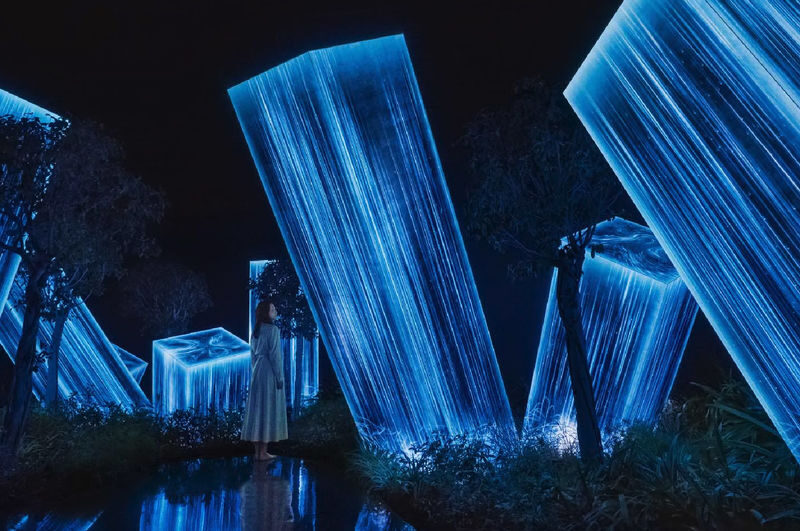 Abu Dhabi City Tour with teamLab Phenomena Experience - teamLab Phenomena: two hours of art and motion