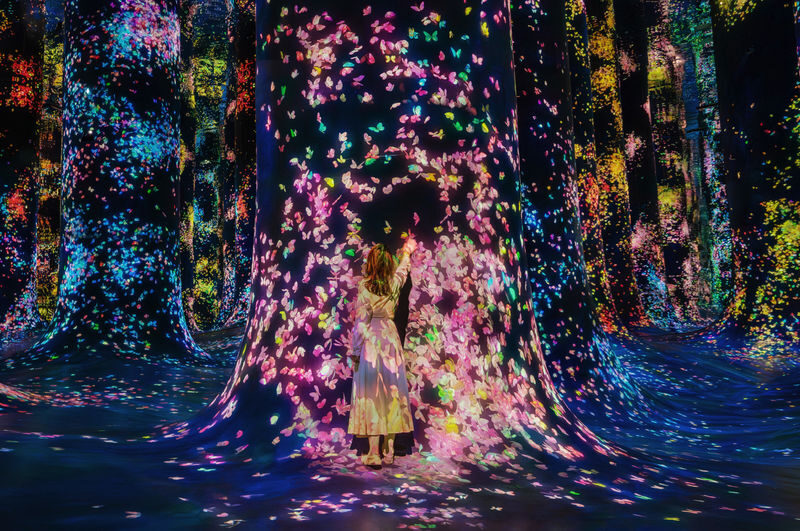 Abu Dhabi City Tour with teamLab Phenomena Experience - Who should book this Abu Dhabi day trip?
