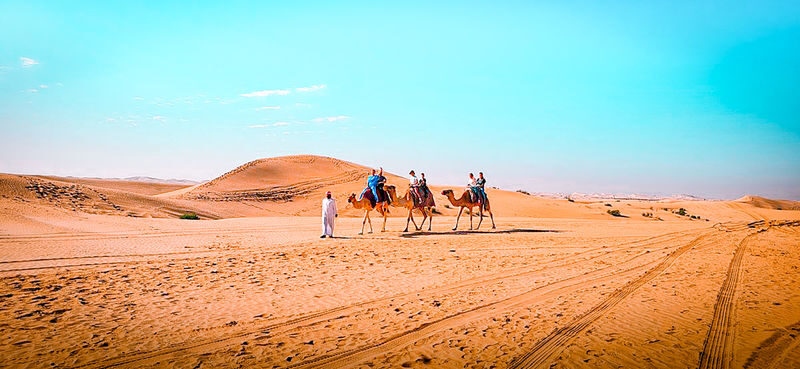 Abu Dhabi Desert Half-Day Camel Trek Adventure - Key points before you book