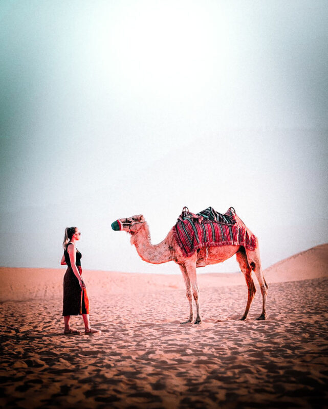 Abu Dhabi Desert Half-Day Camel Trek Adventure - Thirty minutes across the dunes