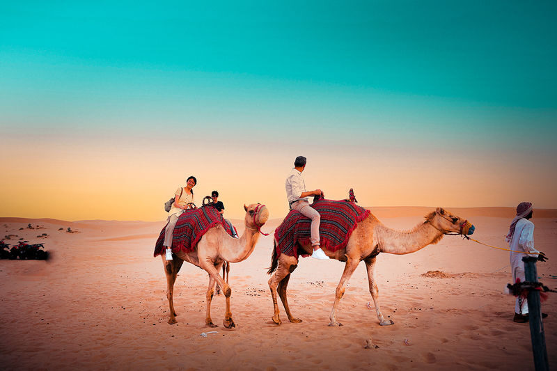 Abu Dhabi Desert Half-Day Camel Trek Adventure - Refreshments, facilities, and the ride back