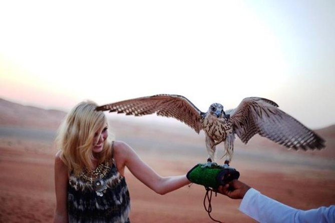 Abu Dhabi Desert Safari 4x4, BBQ Dinner, Camel Ride - Live Entertainment and Outdoor Activities