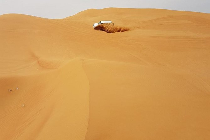 Abu Dhabi Desert Safari 4x4, BBQ Dinner, Camel Ride - Quad Ride, Camel Ride, Sandboarding, and Stargazing