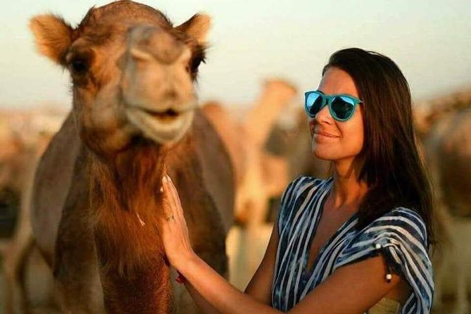 Abu Dhabi Desert Safari 4x4, BBQ Dinner, Camel Ride - Traditional Belly Dance Show and Fire Show