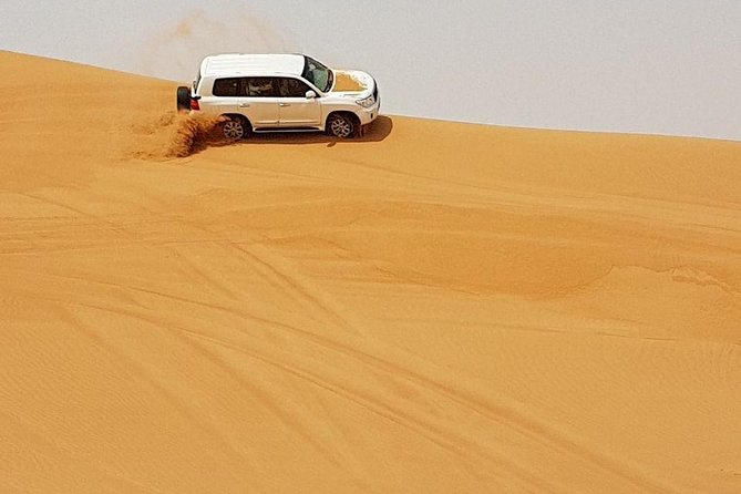 Abu Dhabi Desert Safari 4x4, BBQ Dinner, Camel Ride - Hidden Gems and Unique Experiences