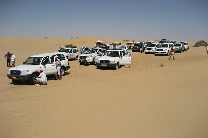 Abu Dhabi Desert Safari Dune Bashing,Came,Belly Dance & BBQ - Indulge in a Delicious BBQ Meal