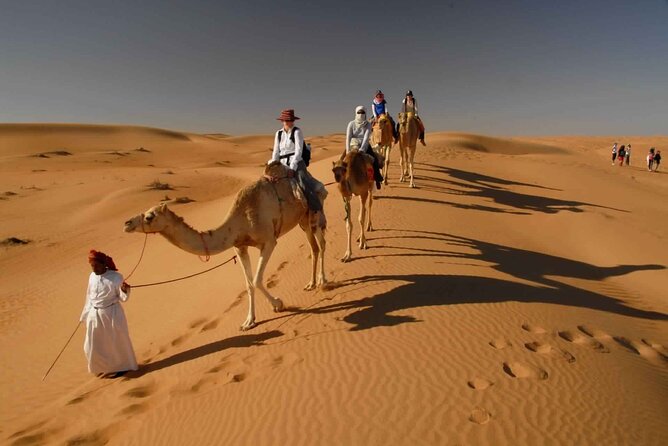 Abu Dhabi Desert Safari Dune Bashing,Came,Belly Dance & BBQ - Immerse Yourself in Bedouin Culture