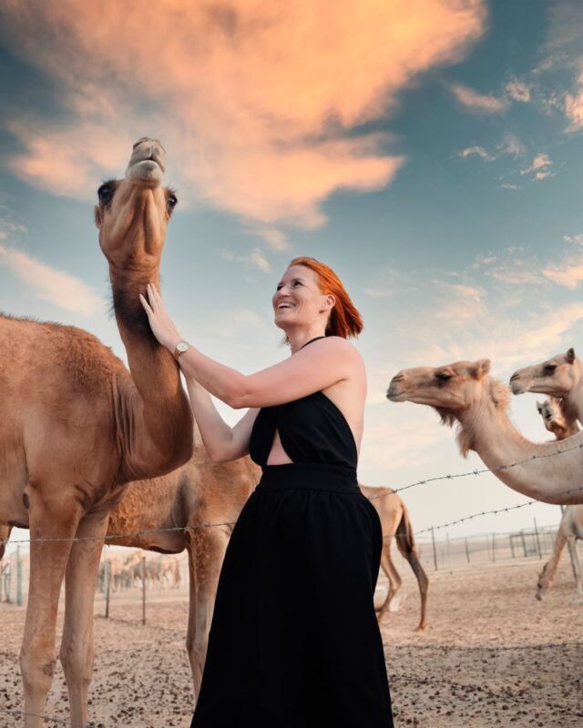 Abu Dhabi: Desert Safari with BBQ, Belly & Tanoura Dance - The price makes sense if you want the whole evening