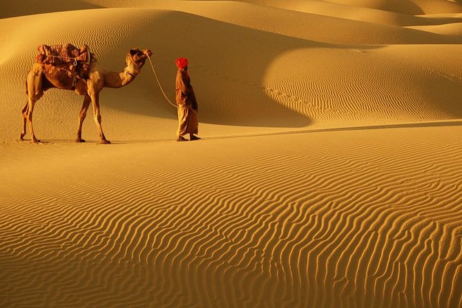 Abu Dhabi Desert Safari With BBQ Dinner , Camel Ride , Bally Dance - Thrilling Activities in the Al Khatim Desert