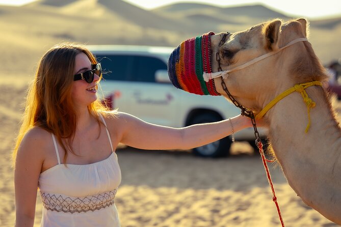 Abu Dhabi Evening Desert Safari - Private Car Dune Bashing & BBQ - What To Expect