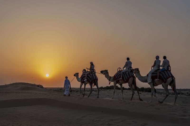 Abu Dhabi Evening Desert Safari with BBQ Dinner - Sandboarding and sunset photo stops