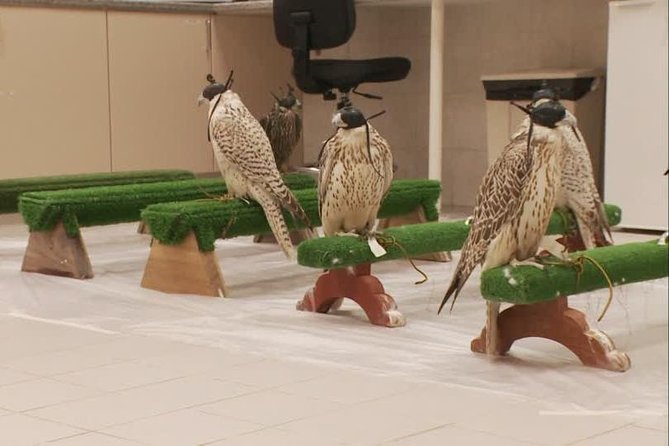 Abu Dhabi Falcon Hospital Tour Educational Tour About the Falcons With Transfers - Educational Facility Tour