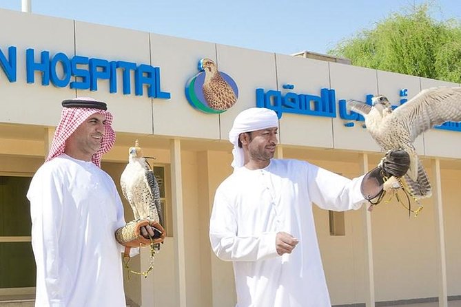 Abu Dhabi Falcon Hospital Tour Educational Tour About the Falcons With Transfers - Falcon Photo Opportunities