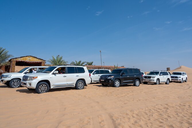 Abu Dhabi Full-Day Desert Safari - Desert Safari Activities
