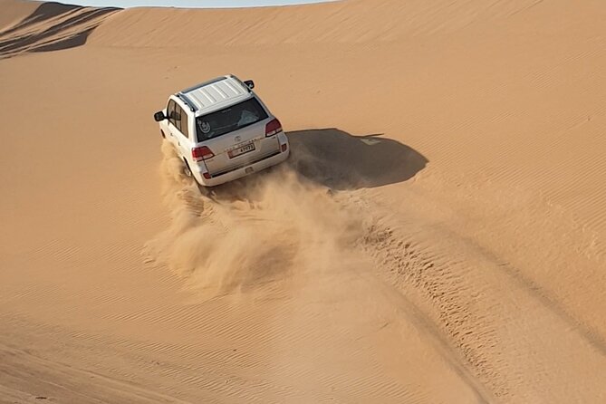 Abu Dhabi Full-Day Desert Safari - Transportation and Logistics