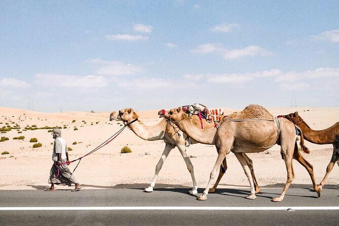 Abu Dhabi Hidden Gems by City Break - Walking Tours Made Fun! - Fun-Filled Walking Tours in the City