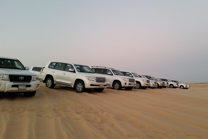 Abu Dhabi Morning Desert Safari - Pricing and Operator Information