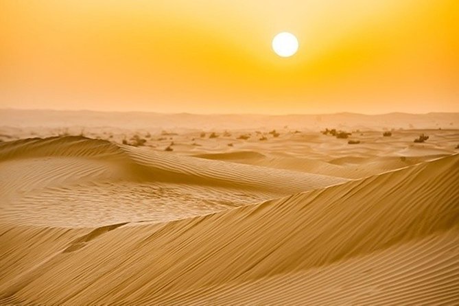 Abu Dhabi Morning Desert Safari With Camel Ride & Sand Boarding - Pricing and Terms for the Desert Safari Experience