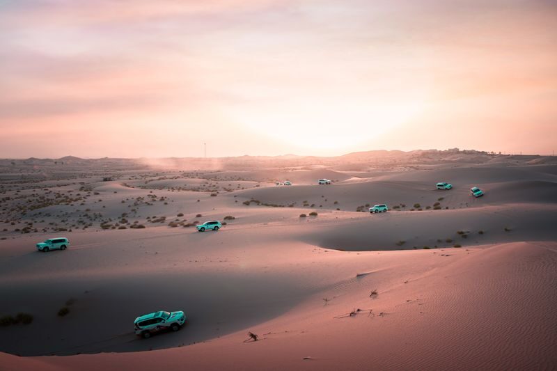 Abu Dhabi Morning Desert Safari with Dune Bashing - At a glance