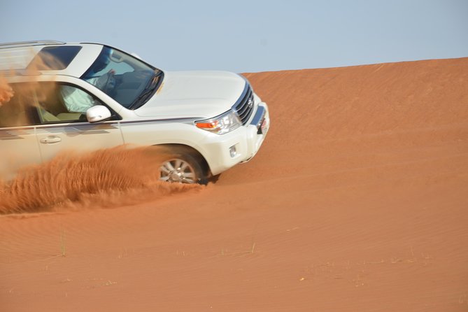 Abu Dhabi Morning Safari - Thrilling Activities in the Desert