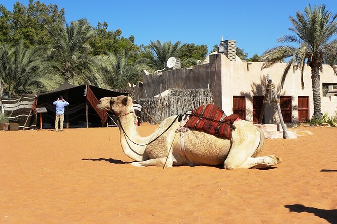 Abu Dhabi Must-See Top Attractions With Louvre Museum Entry - Yas Island