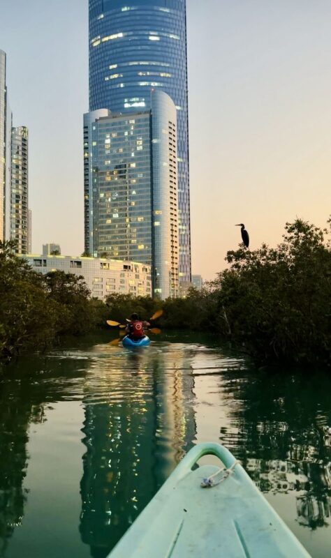 Abu Dhabi Reem Central Park Half-Day Kayaking Tour - Price and what is included