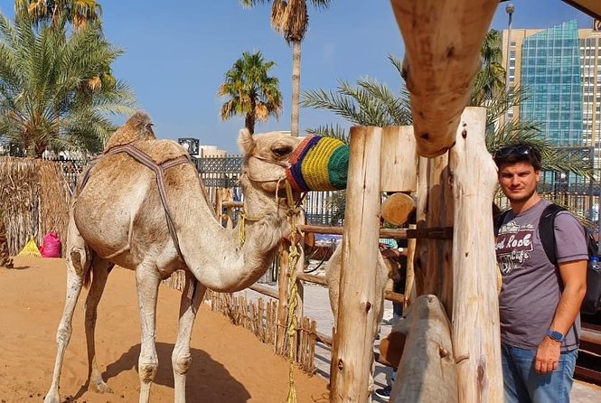 Abu Dhabi Tour ,Dubai City Tour, Desert Safari & Barbecue Dinner - The Sum Up