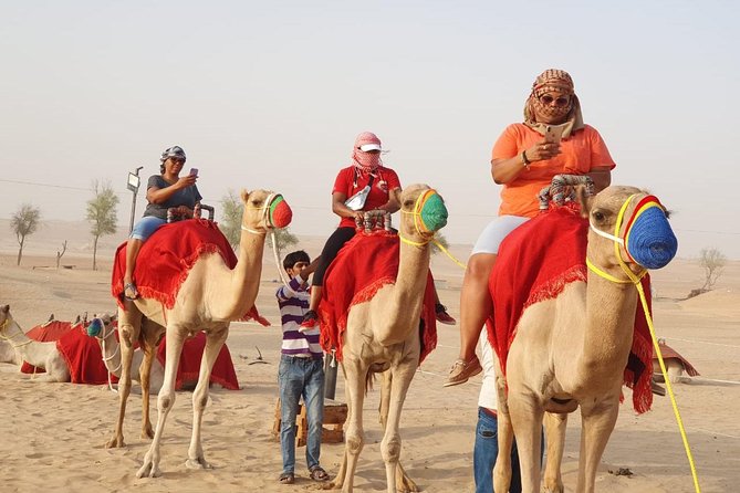 Abu Dhabi Tour With Desert Safari, BBQ, Camel Ride From Dubai - Desert Safari and Entertainment Activities