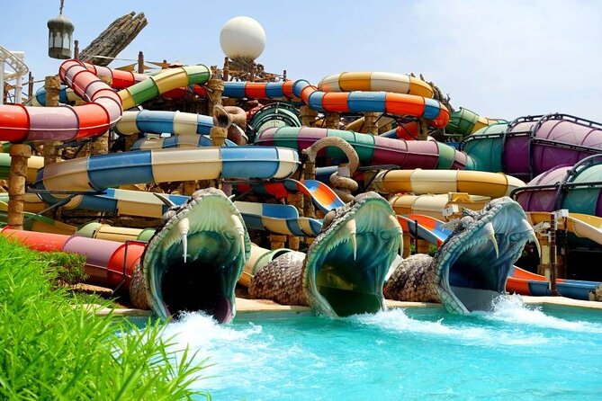 Abu Dhabi - YAS Water World Or Warner Bros Theme Park From Dubai - Price and Booking Details