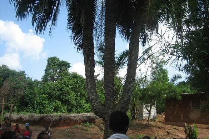 Aburi Botanical Gardens And Boti Falls Private Tour - The Sum Up