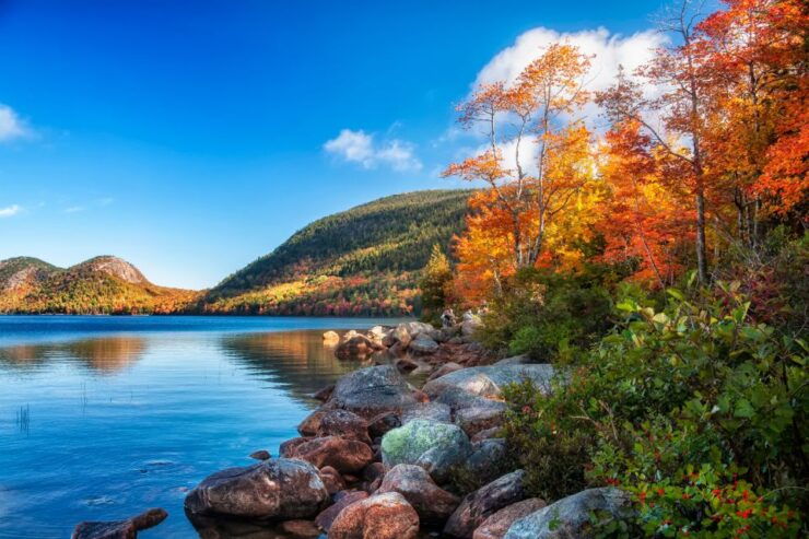 Acadia: Bar Harbor & Ocean Path Self-Guided Audio Tours - Experience Highlights