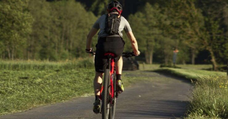 Acadia Half Day Private Bike Tour - Experience Highlights and Itinerary
