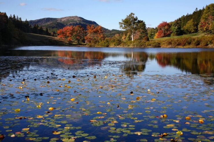 Acadia: Mount Desert Island Self-Guided Driving Tour - Activity Details