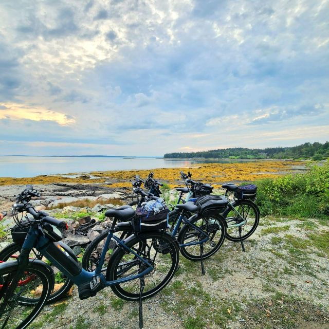 Acadia National Park Carriage Roads: Guided Ebike Tour - Itinerary