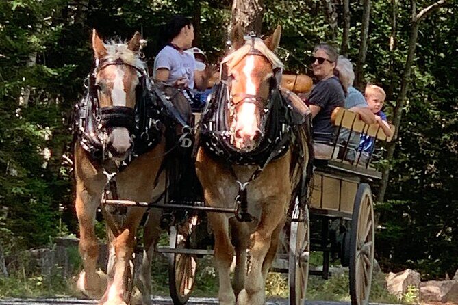Acadia National Park Premium Specialized E-Bike Rental - Who Should Consider This Tour?