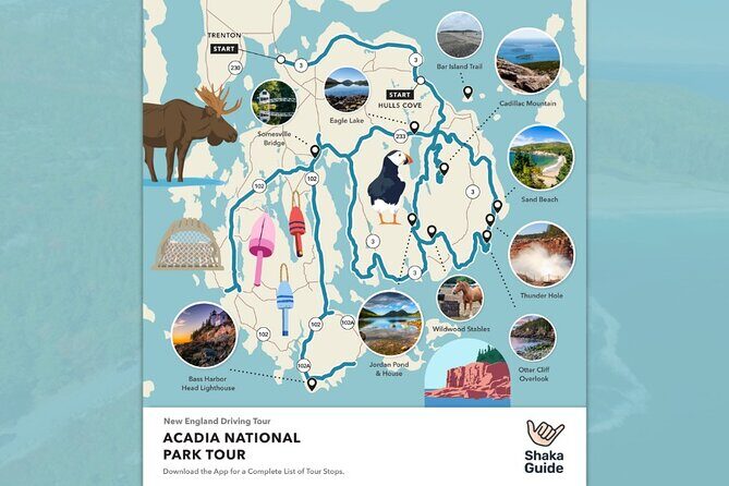 Acadia National Park Self-Guided Audio Tour - The Sum Up