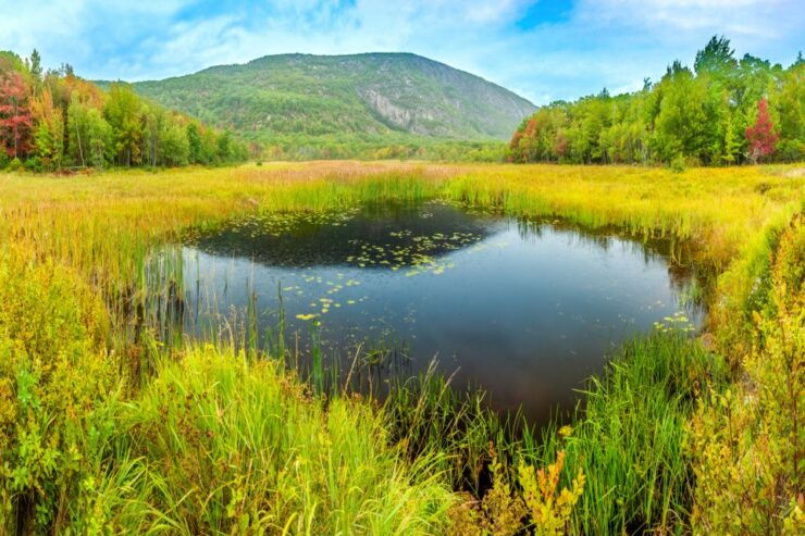 Acadia National Park Self-Guided Driving Tour From Cadillac - Tour Overview