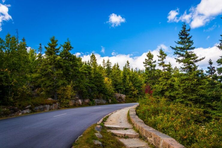 Acadia NP & Bar Harbor Self-Guided Driving and Walking Tour - Tour Highlights
