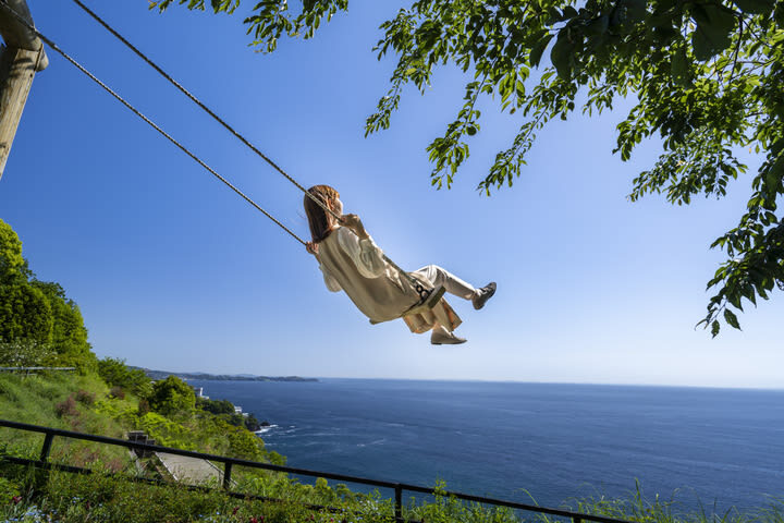 ACAO FOREST Ticket in Shizuoka - Opening hours and a few practical details