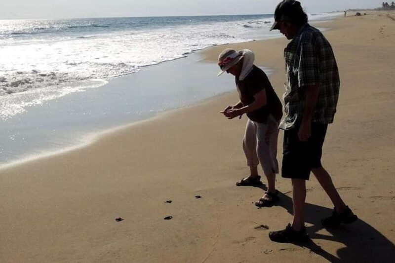 -Acapulco: 6hr City Tour & Turtle Release & High Diver Show - What to Expect on Your Day in Acapulco