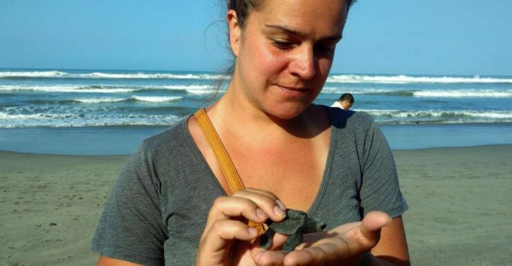 .Acapulco: Baby Turtle Release Tres Palos Lagoon Eco W/Lunch - Activity Details