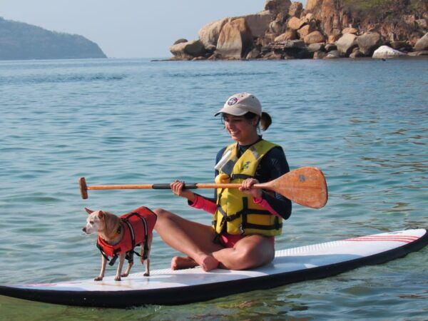 Acapulco Bay 1-Hour Paddle Boarding - Scenic Tour Highlights
