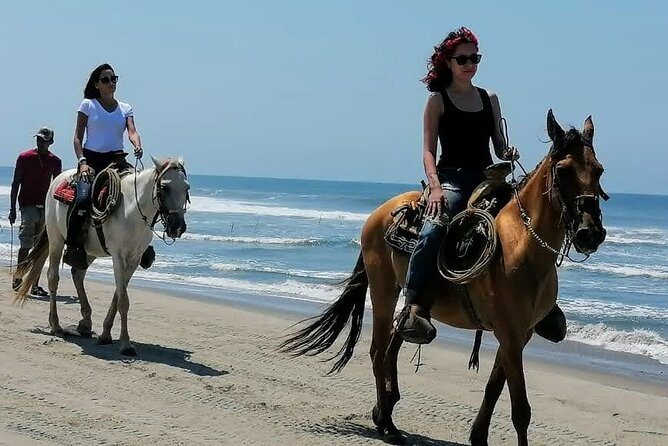 Acapulco Beach Horseback Riding Tour With Baby Turtle Release - Tour Requirements