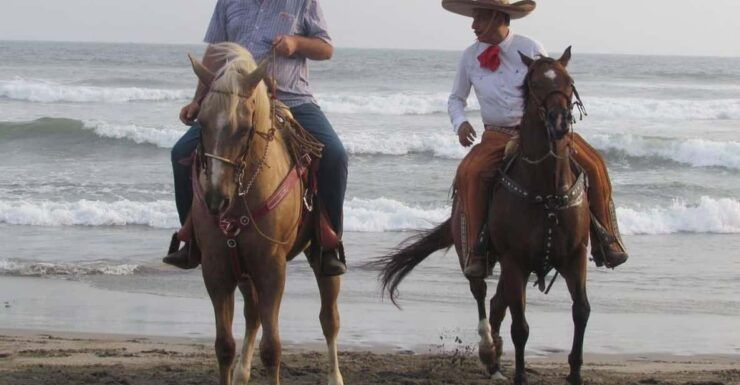 Acapulco: Bonfil Beach Horseback Riding Experience - Booking Information