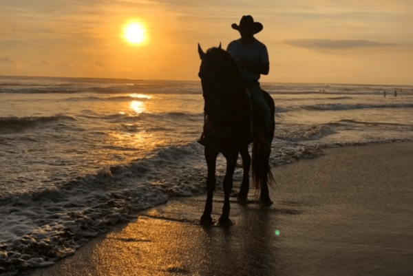 Acapulco: Bonfil Beach Horseback Riding Experience - Frequently Asked Questions