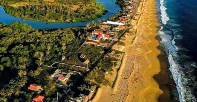 Acapulco: Ecological Tour - Turtle Conservation Activities