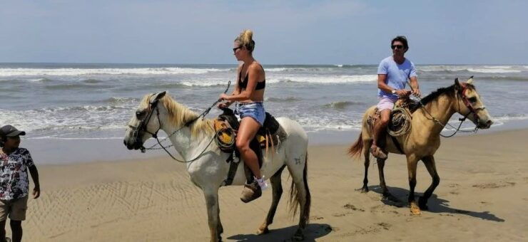 Acapulco: Gentle Beach Horse Riding Tour on Barra Vieja - Experience Highlights