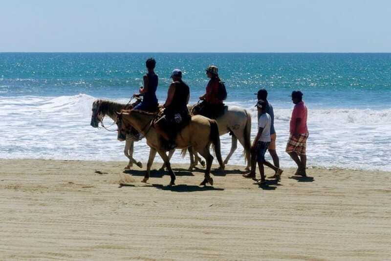 -Acapulco: Horseback Ride Exp. Crocodile Farm, and City Tour - Practical Details & What to Expect